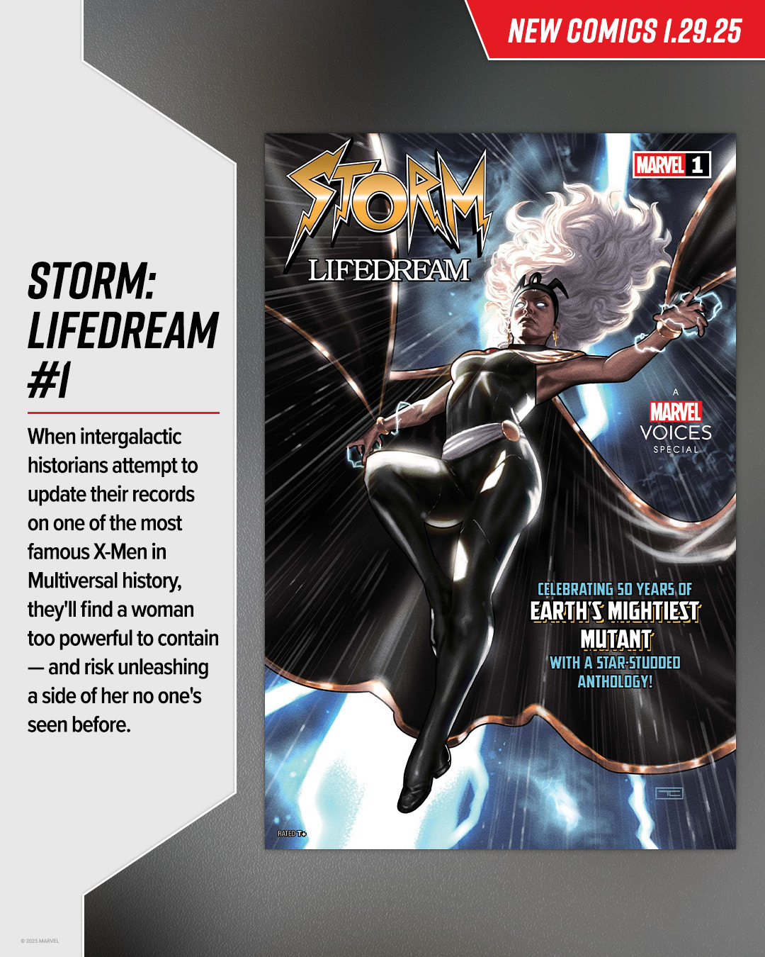 marvel comics storm lifedream