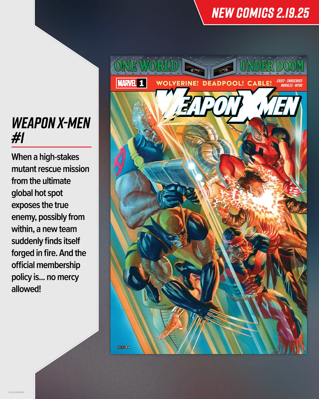 marvel comics weapon x men